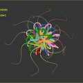 Bacteria Eukaryotic cell Cross section Cell structure Cell tissue Anatomical organ 3d model