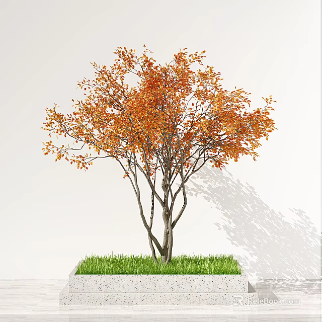 Arbor Tree With Vibrant Orange Red Leaves In Square Green Grass Planter 3d model
