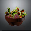 Venus flytrap plant in red pot with green leaves yellow spines and red interior against dark background