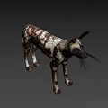 African Wild Dog With Distinctive Spotted Coat And Large Ears Standing