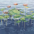 Blooming Lotus Flowers With Green Lily Pads Floating On Calm Water Surface