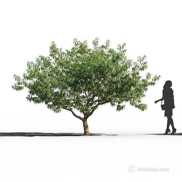 Tall Arbor With Lush Green Foliage And Brown Trunk Beside Woman Silhouette 3d model 