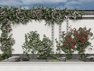 Flowering Vines Adorn White Wall In Traditional Courtyard With Rocks 3d model