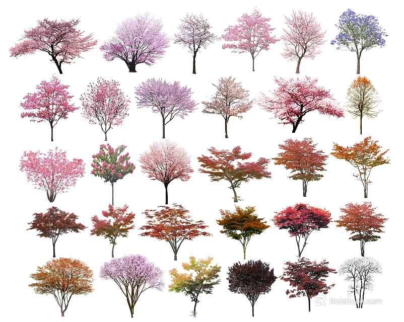 Different Types of Colorful Trees with Various Foliage and Shapes for Landscape 3d model 
