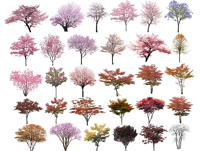 Different Types of Colorful Trees with Various Foliage and Shapes for Landscape 3d model