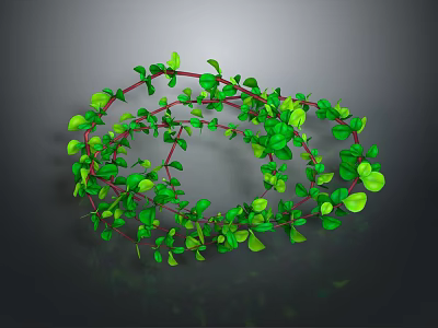 Green Leafy Plant With Red Vines In Spiral Shape On Dark Background 3d model