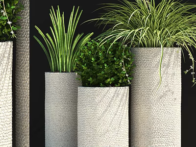 Bonsai Potted Plants in Various Sizes of Textured Gray Cylindrical Pots with Green Foliage 3d model
