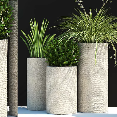 Bonsai Potted Plants in Various Sizes of Textured Gray Cylindrical Pots with Green Foliage 3d model