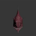 Pink Anglerfish With Luminous Lure And White Spots On Dark Background