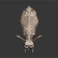 Realistic Elephant 3D Model With Long Tusks Large Ears And Trunk On Black Background