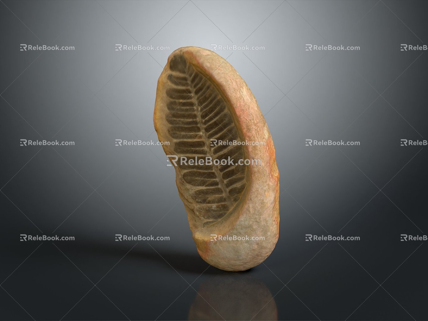 Trilobite ancient creatures ancient creatures realistic 3d model