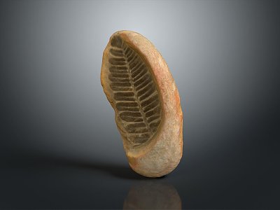 Trilobite ancient creatures ancient creatures realistic 3d model