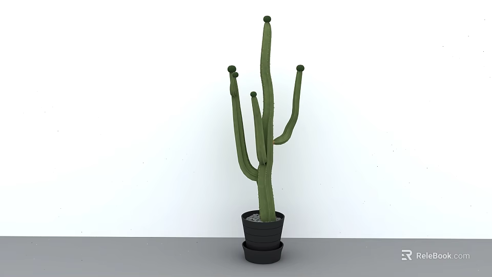 Tall Green Cactus Potted Plant in Black Pot Against White Wall and Gray Floor 3d model 