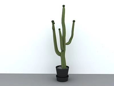 Tall Green Cactus Potted Plant in Black Pot Against White Wall and Gray Floor 3d model