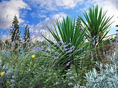 Lush Garden Shrubs Featuring Lavender Blooms And Green Foliage Under Cloudy Sky 3d model