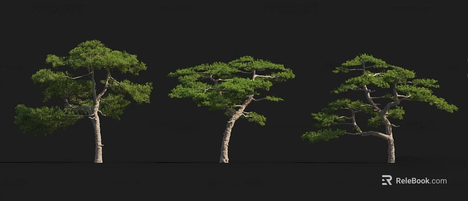 Tree House Design Built On Tall Pine Trees With Lush Green Foliage 3d model 