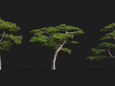 Tree House Design Built On Tall Pine Trees With Lush Green Foliage 3d model