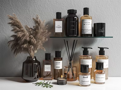 Stylish Bathroom Accessories With Liquid Soap Bottles Aromatherapy Diffusers Candle And Pampas Grass Vase 3d model
