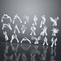 White Human Organ Hand Models Displaying Various Gestures In Studio Setup 3d model