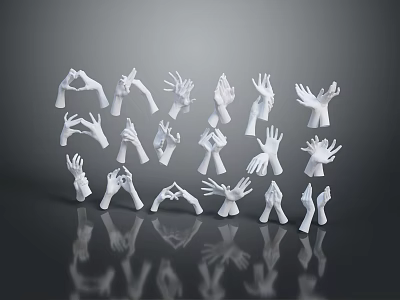 White Human Organ Hand Models Displaying Various Gestures In Studio Setup 3d model