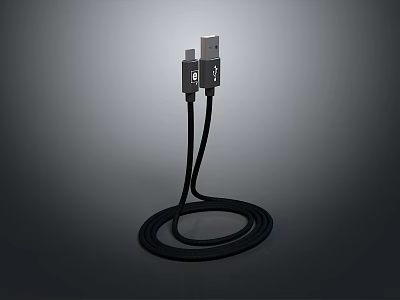 Black USB Charging Data Cable With Dual Connectors For Daily Use And Device Charging 3d model