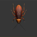 Red and Orange Cockroach with Long Antennae and Shiny Exoskeleton on Dark Background