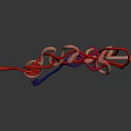 Detailed Organ and Hair Structures in Colorful 3D Tubular Model Rendering