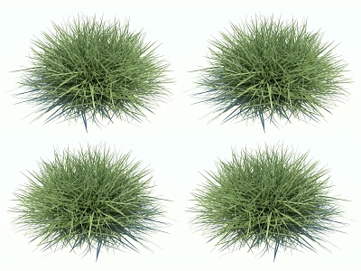 Modern Grass 3d model