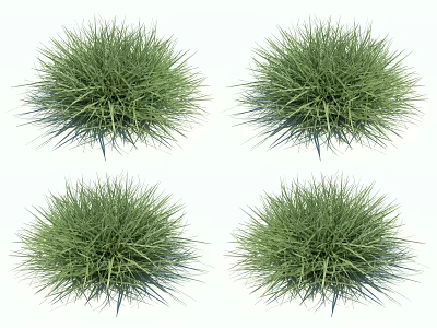 Decorative Green Grass Clumps with Lush Dense Foliage for Garden Landscaping 3d model