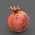 Fresh Ripe Pomegranate with Red Pink Speckled Skin and Crown on Gray Background