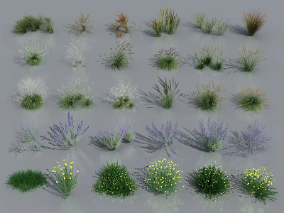 Various Varieties of Flowers and Grasses With Lavender Yellow Blooms and Different Shapes 3d model