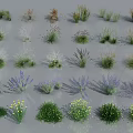 Various Varieties of Flowers and Grasses With Lavender Yellow Blooms and Different Shapes