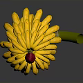 Fresh Yellow Bananas With Red Stem On Dark Background Ripe And Reflected