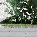 Lush Green Tropical Plants With Palm Leaves And Banana Foliage Against Textured Wall