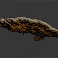 Ganoderma Mushroom Featuring Vibrant Orange Brown Color Fan Shaped Structure And Detailed Surface Texture