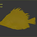 Whole Fresh Pinkish Red Fish With Spiky Fins And Large Eyes On Gray Background