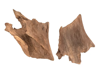 Two Natural Wood Pieces Displaying Rustic Texture And Organic Shape For Decoration 3d model