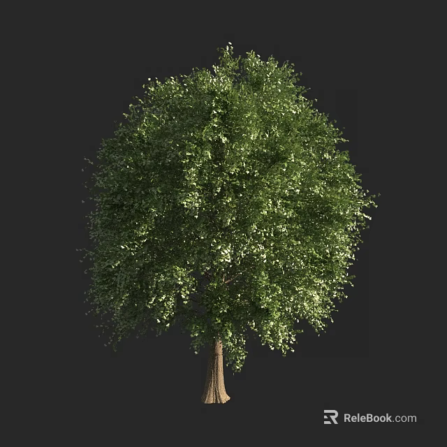 Lush Green Arbor Showcasing Dense Foliage And Strong Trunk In Natural Setting 3d model 