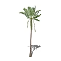 Tall Palm Tree With Long Trunk And Green Fronds Casting Shadow 3d model