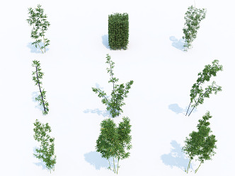 modern bamboo forest 3d model