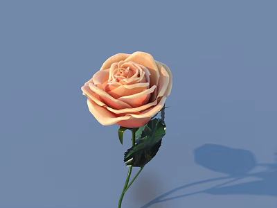 Peach Colored Rose With Green Leaves On Blue Background And Soft Shadow 3d model