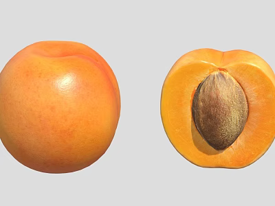 Fresh Ripe Orange Whole and Halved Apricot with Visible Seed 3d model