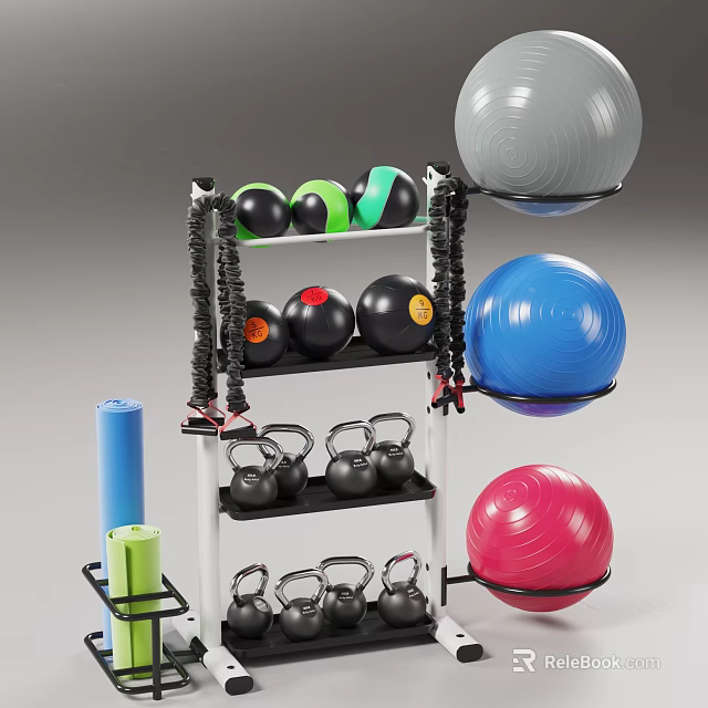 Durable Sports Equipment Storage Rack With Black Dumbbells Multi Colored Yoga Balls And Foam Rollers 3d model 