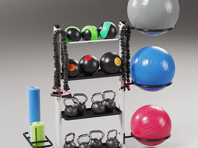 Durable Sports Equipment Storage Rack With Black Dumbbells Multi Colored Yoga Balls And Foam Rollers 3d model