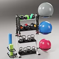 Durable Sports Equipment Storage Rack With Black Dumbbells Multi Colored Yoga Balls And Foam Rollers