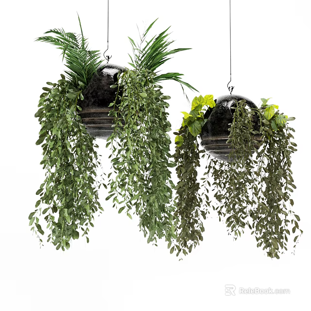 Lush Hanging Basket Plants with Trailing Greenery and Dark Planters 3d model 