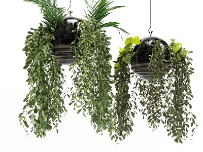 Lush Hanging Basket Plants with Trailing Greenery and Dark Planters 3d model