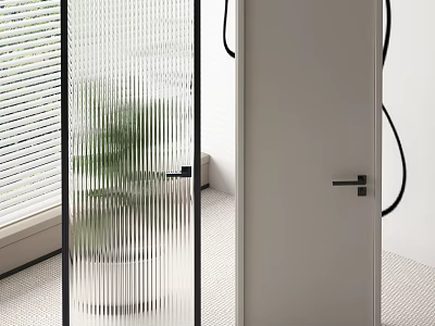 Modern Hinged Door With Black Framed Glass And Green Plant In Interior Space 3d model