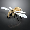Bee with Yellow Body Black Legs and Transparent Wings on Dark Background