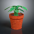 Fresh Green Leafy Plant Growing in Red Terracotta Pot with Healthy Leaves